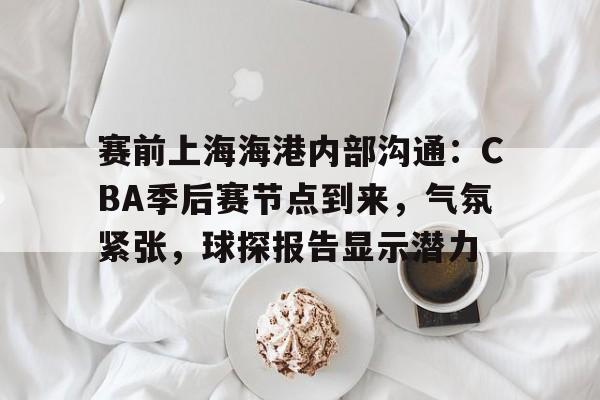 赛前上海海港内部沟通：CBA季后赛节点到来，气氛紧张，球探报告显示潜力的简单介绍